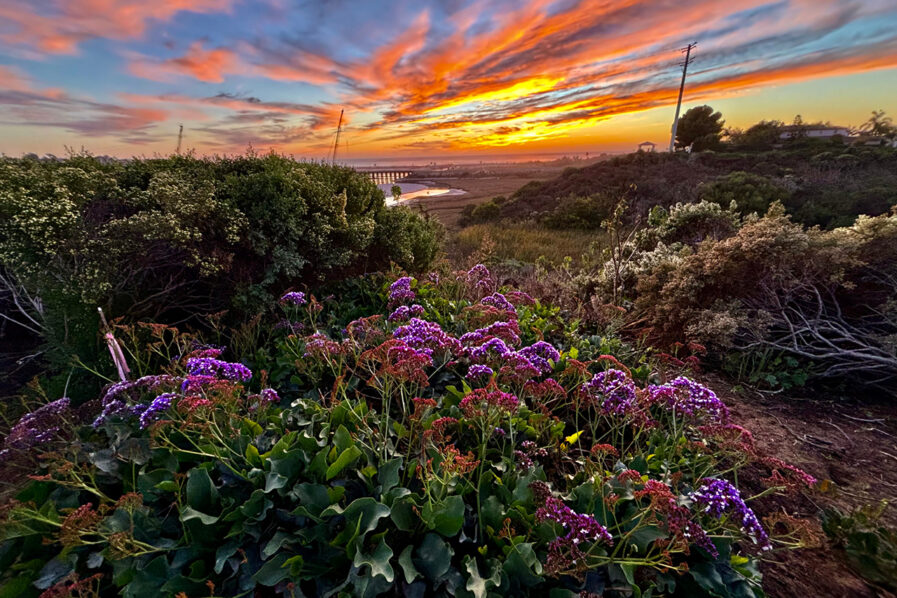 Sky Ablaze Over the Lagoon